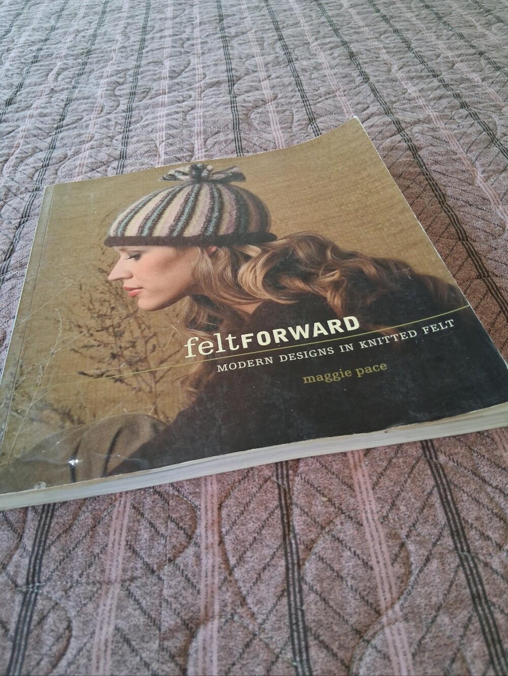 Felt Forward: Modern Designs in Knitted Felt Knitting Knit